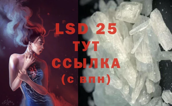 ПСИЛОЦИБИНОВЫЕ ГРИБЫ Балабаново