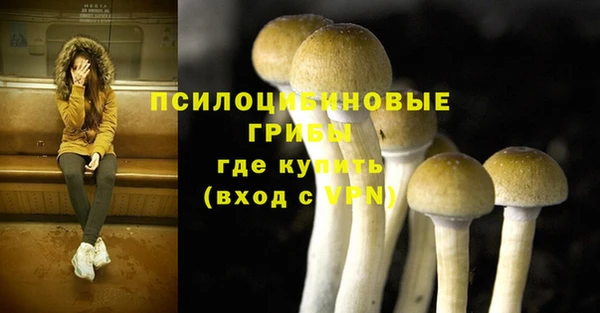 ПСИЛОЦИБИНОВЫЕ ГРИБЫ Балабаново