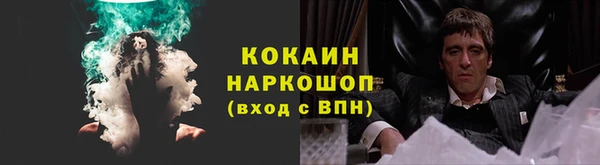 ПСИЛОЦИБИНОВЫЕ ГРИБЫ Балабаново